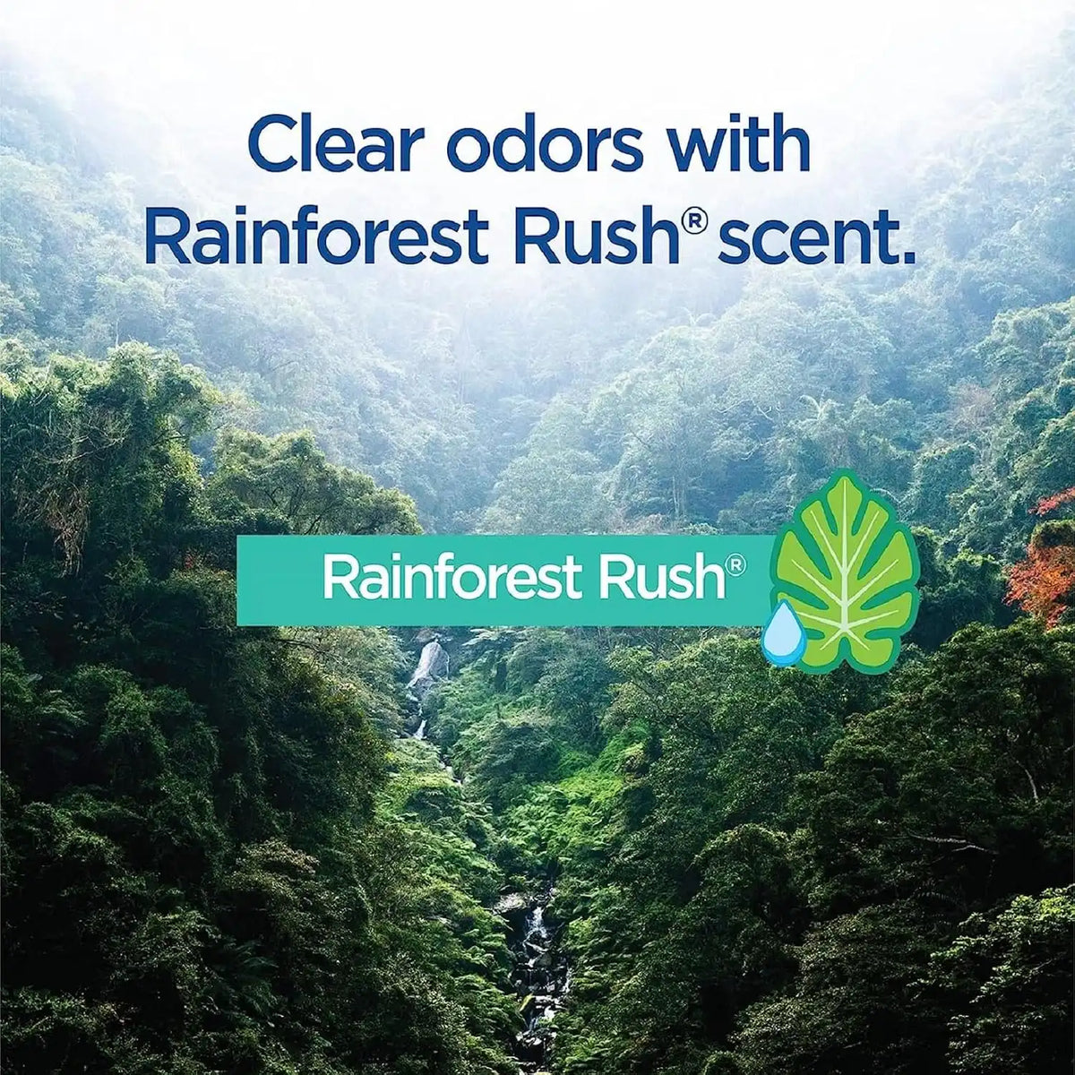 Clorox ToiletWand Toilet Cleaner Refills, Rainforest Rush, 30 Ct.