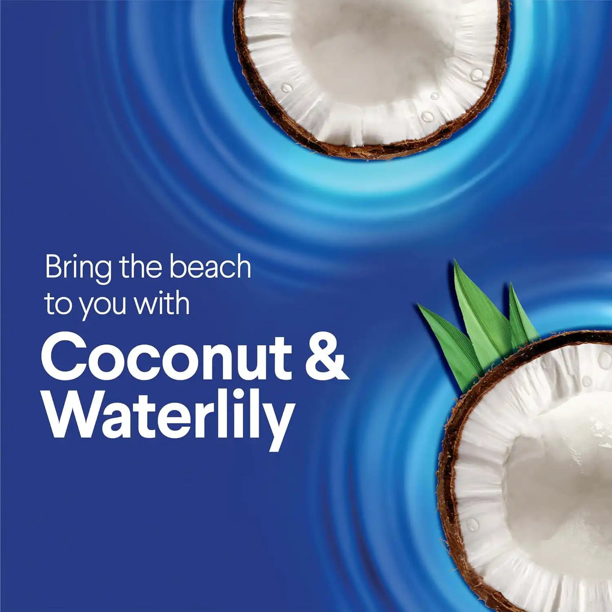 Clorox Scentiva Disinfecting Wet Mop Pad, Coconut Waterlily, 24 Ct., 2 Pack