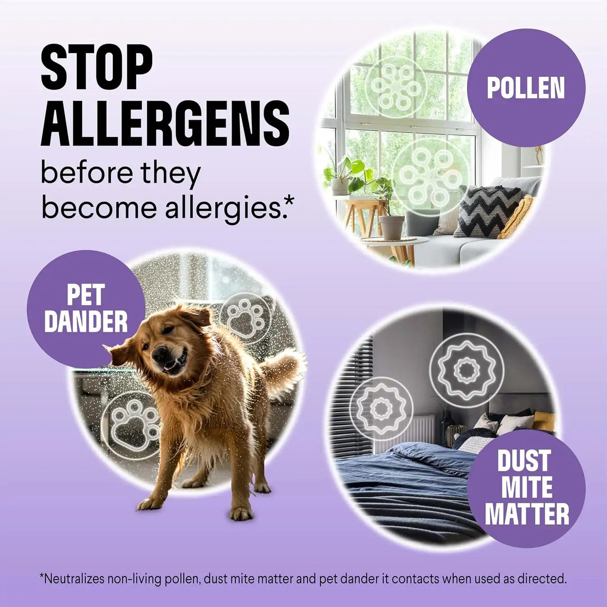 Clorox PURE Allergen Neutralizer Daily Air Spray, Nighttime Calm, 8 fl. oz.