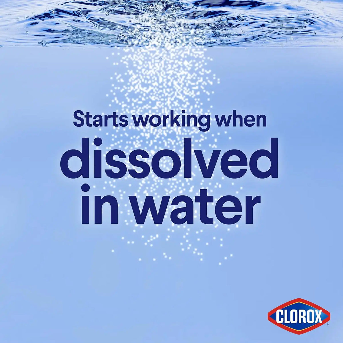 Clorox Concentrated Bleach Powder, 21.1 oz.